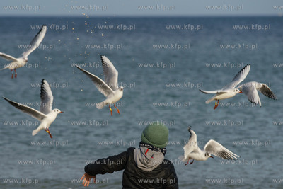 Plaża w Sopocie.13.02.2022 / fot. Anna Rezulak / KFP
