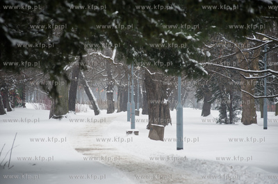 Gdansk. Park Stefensa wzdluz Al. Zwyciestwa.
20.03.2013
fot....