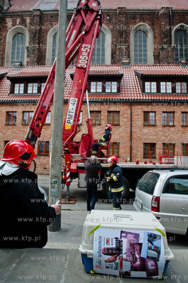 Gdansk. Akcja ratunkowa kaczki krzyzowki oraz jej nowo...