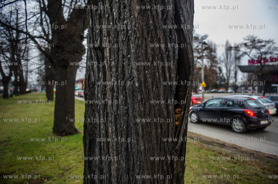 Gdańsk. Znajdująca się w ciągu Alei Zwyciestwa,...
