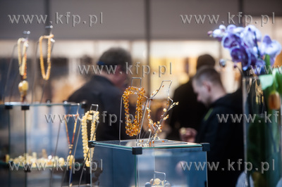 Miedzynarodowe Targi Gdanskie Amber Expo. Amberif -...