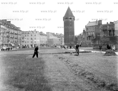 Koszenie trawy za pomoca kosy na ul. Podwale Staromiejskie...