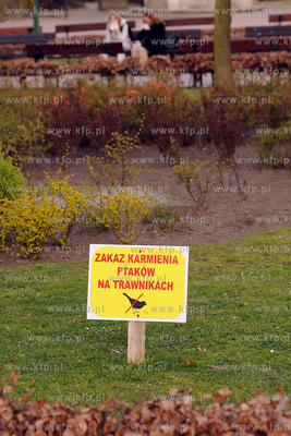 Sopot. Tabilce zakazujace dokarmiania ptakow na trawnikach...