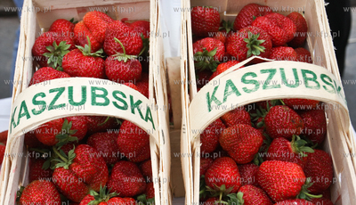 Zlota Gora k. Kartuz. Truskawkobranie to najwieksza...