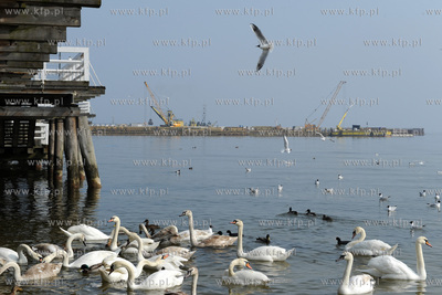Sopot. Budowa mariny przy sopockim molo. 31.03.2011...