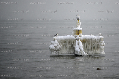 Gdynia Orlowo w zimowej szacie
10.02.2021r.
Fot. Andrzej...