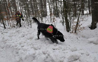 Poszukiwanie zaginionej kobiety Marii Pettke w Leznie...