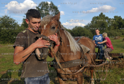 Sianokosy we wsi Sulmin na Kaszubach. Laka pomiedzy...