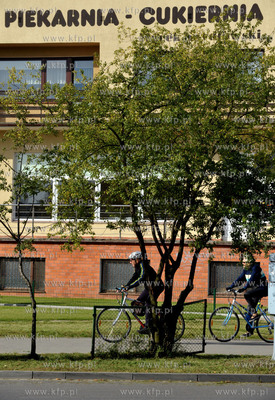 Gdansk Zabianka ul. Gospody. Wrosniety w drzewo fragment...