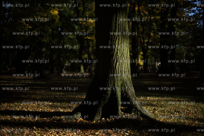 Gdansk. Park Przymorze.
17.10.2012
fot. Krzysztof...
