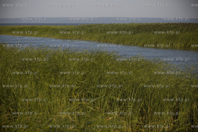 Ujście Wisły Królewieckiej do Zalewu Wiślanego.
11.08.2015
fot....