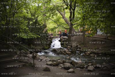 Remont mostków w Parku Oliwskim.
18.05.2016
fot....