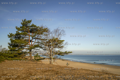 Gdańsk. Plaża na Grókach Zachodnich.  05.04.2020...