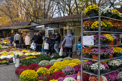Dzień Wszystkich Świętych na Cmentarzu Srebrzysko....