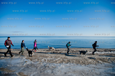 Gdynia. Polanka Redlowska. Pomorski Puchar Dogtrekkingu.
08.02.2014
fot....