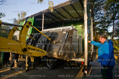 Gdansk. Oliwskie Zoo. Przyjazd czterech lwow, trzech...