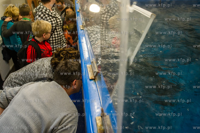 Akwarium Gdynskie. Tydzien Rekina oraz Dni Otwarte...