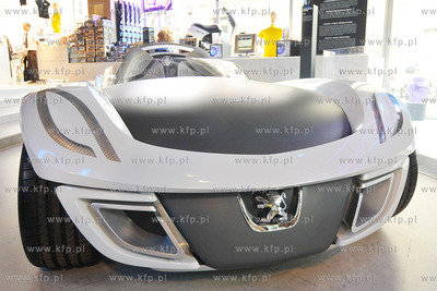 Salony samochodowe na Polach Elizejskich (Champs Elysee...