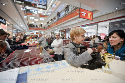 Swiatowy Dzien Kota w Galerii Baltyckiej. Obchodom...