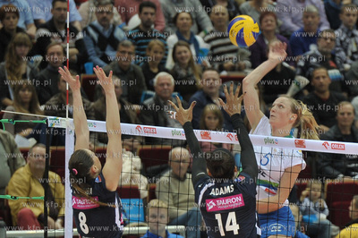 Ergo Arena Gdansk/Sopot. Orlen LIga. Mecz Atom Trefl...