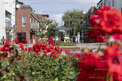 Deptak na al. Księdza Józefa Waląga w Pruszczu Gdańskim.
26.06.2022
fot....