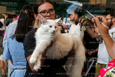 Międzynarodowa wystawa kotów rasowych "Koty na Hawajach"...