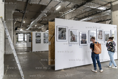 Gdańsk Stocznia. Plenum. Wystawy 4 autorów: Damian...