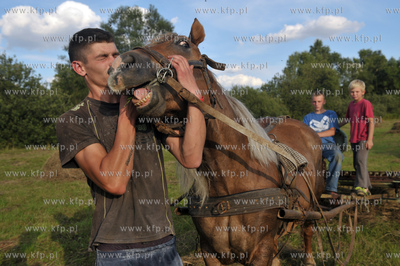 Sianokosy we wsi Sulmin na Kaszubach. Laka pomiedzy...