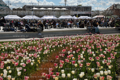 Sopot. Targ sniadaniowy na placu Przyjaciol Sopotu....