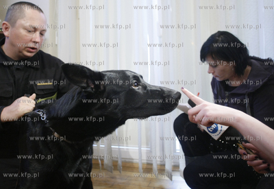 Gdansk. Urzad Miejski. Konferencja prasowa po powrocie...