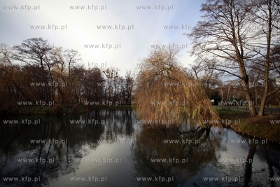 Gdansk. Jelitkowo. Zbiornik retencyjny Jelitkowska.
14.12.2011
fot....