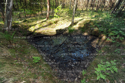 Polwysep Helski miedzy Kuznica a Jastarnia. Osrodek...