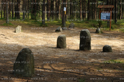 Wesiory. Miejsce obrzedowe i cmentarzysko Gotow z I-II...