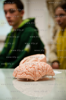 Uniwersytet Gdanski. Wydzial Biologii. Dzien Mozgu...