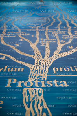 Gdansk. Nowo otwart wydzial Biologii Uniwersytetu Gdanskiego....