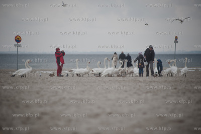 Gdynia. Niedzielne, wielkanocne popoludnie na plazy...