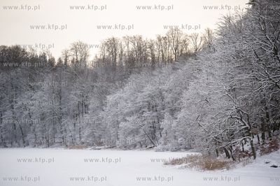 Sniezny zimowy dzien nad jeziorem Otominskim.
21.01.2016
fot....