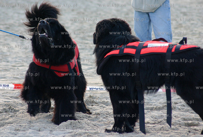 W ramach odbywajacych sie w Gdansku targow Balt Military...