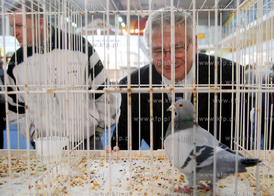 Hale wystawiennicze Miedzynarodowych Targow Gdanskich....