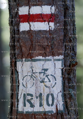 Miejscowosc Ulinia w gminie Wicko. Nz. Oznaczenie czerwonego...