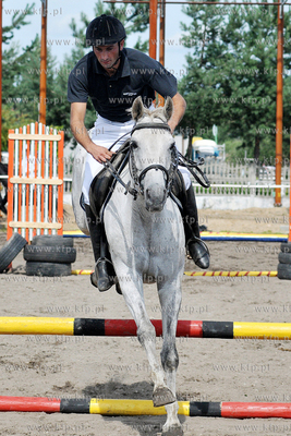 Stadnina koni MORINA w Redzie/Wejherowa. Towarzyskie...