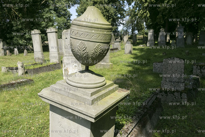 Największy w Polsce, wpisany w 1988 roku do rejestru...