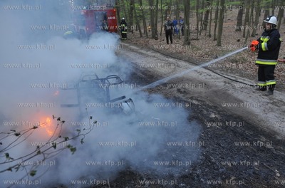 Na lesnej drodze pomiedzy Sulminem gmina Zukowo, a...