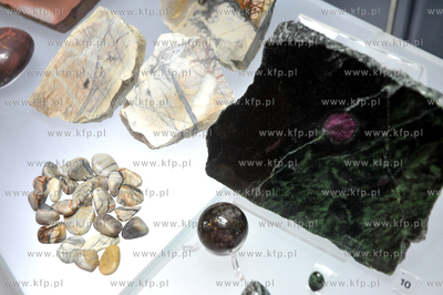 Gdansk, Muzeum Bursztynu. 5 x N - najcenniejsze, niezwykle,...