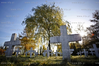 Wojskowy cmentarz francuski w Gdansku.
31.10.2013
fot....