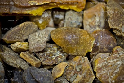 VII Międzynarodowe Warsztaty Bursztynnicze. Mathieu...