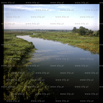 Rzeka Narew na Podlasiu.
2012
fot. Krzysztof Mystkowski...