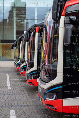 Targ Węglowy w Gdańsku. Piknik rodzinny podczas którego...