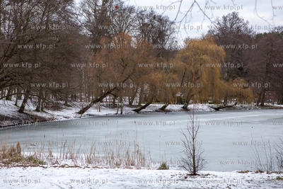 Zima w Parku Oruńskim.  04.02.2019 / Fot. Anna Rezulak...