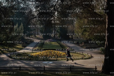 Wiosenne rabaty kwiatowe w Parku Oliwskim. 16.03. 2021...